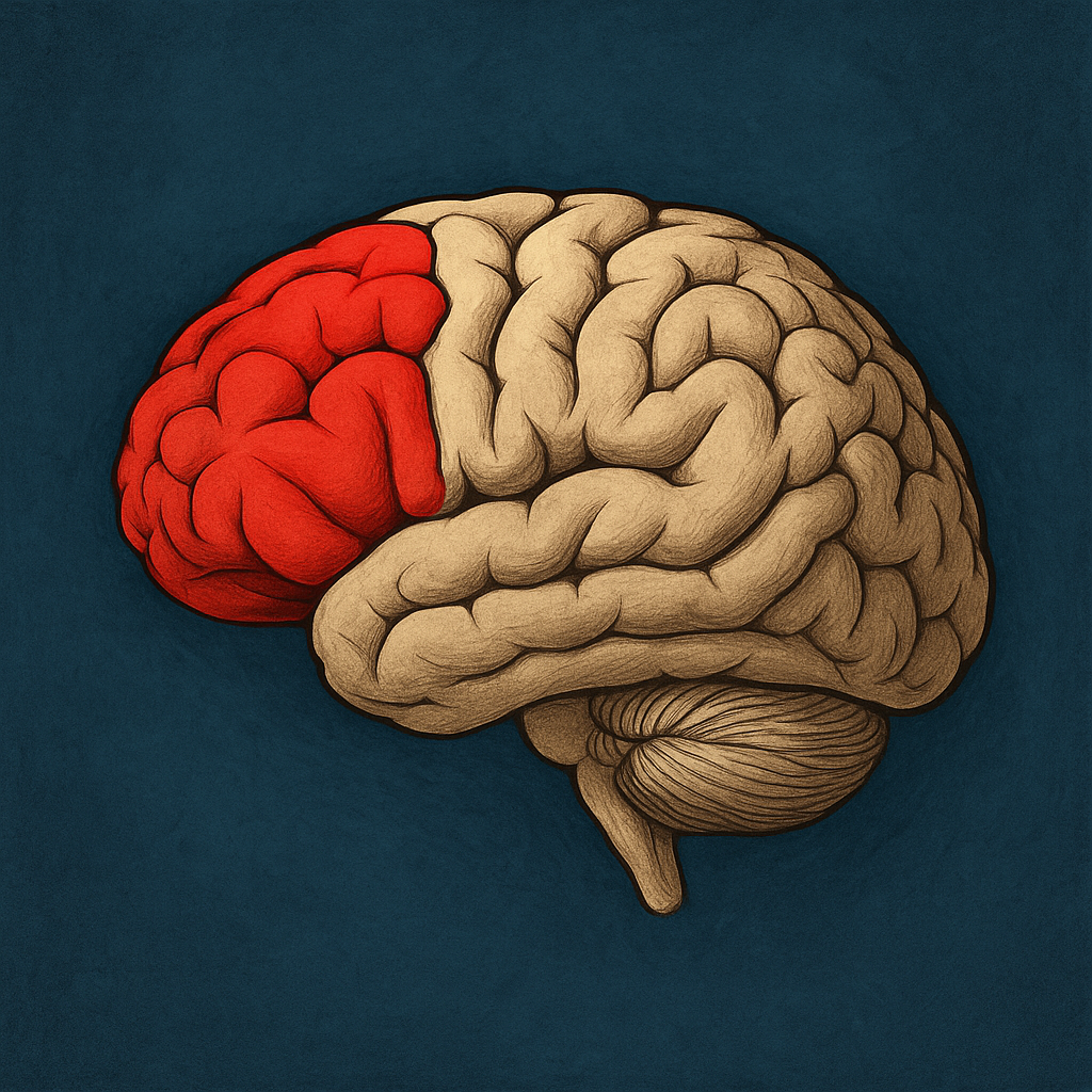 Córtex Pré-Frontal